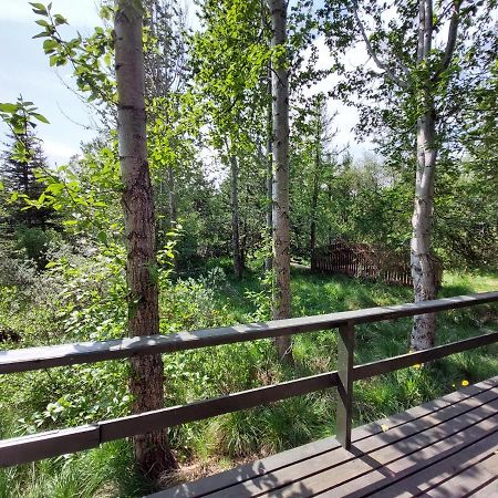 Bakkakot 3 Cozy Cabin In The Woods آكيورِيْري المظهر الخارجي الصورة