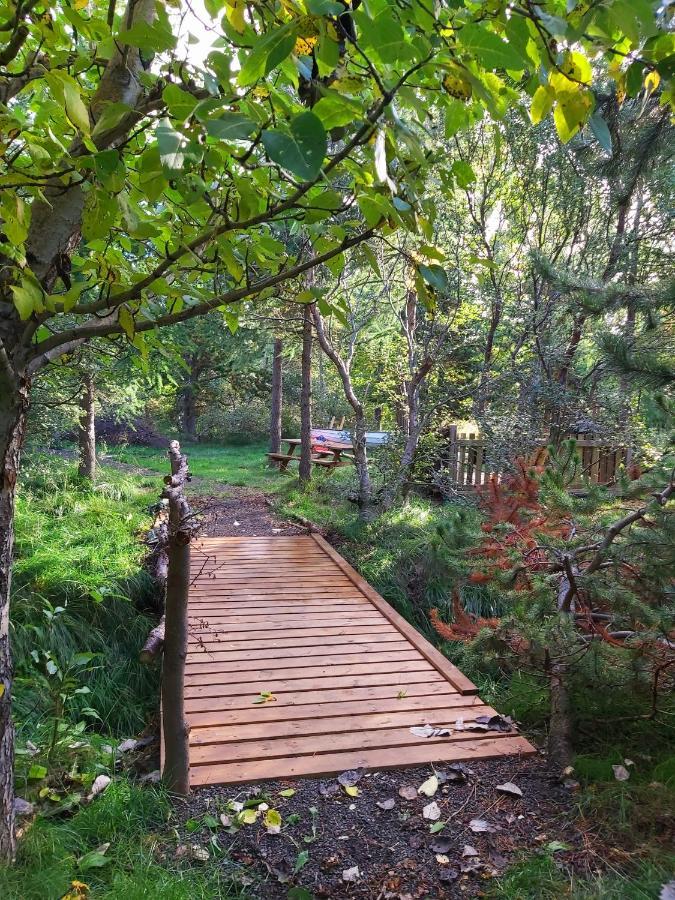 Bakkakot 3 Cozy Cabin In The Woods آكيورِيْري المظهر الخارجي الصورة
