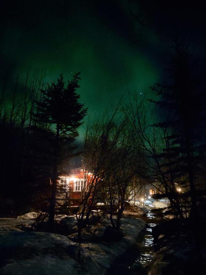 Bakkakot 3 Cozy Cabin In The Woods آكيورِيْري المظهر الخارجي الصورة